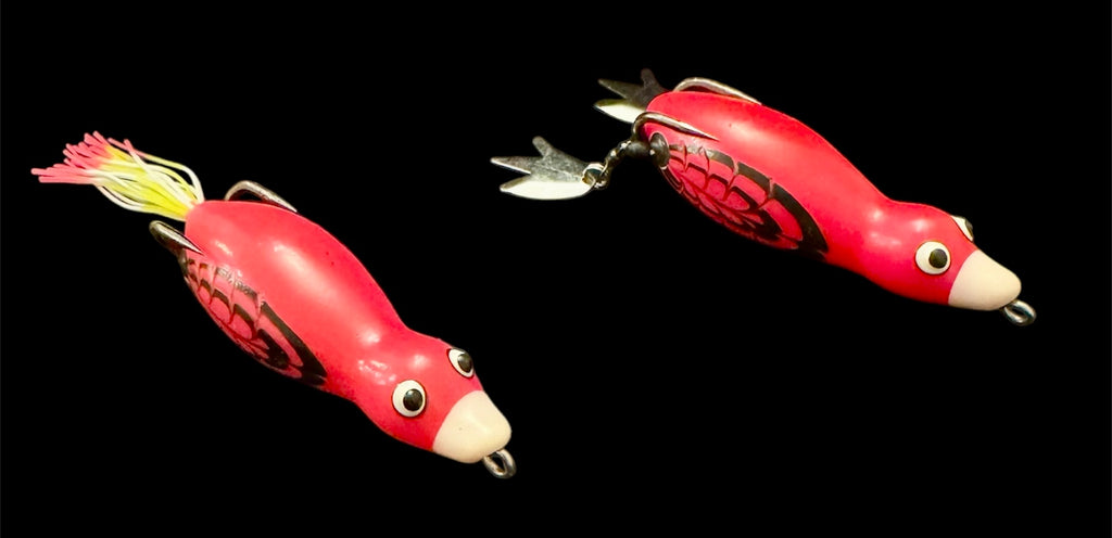 HOCB Ducks