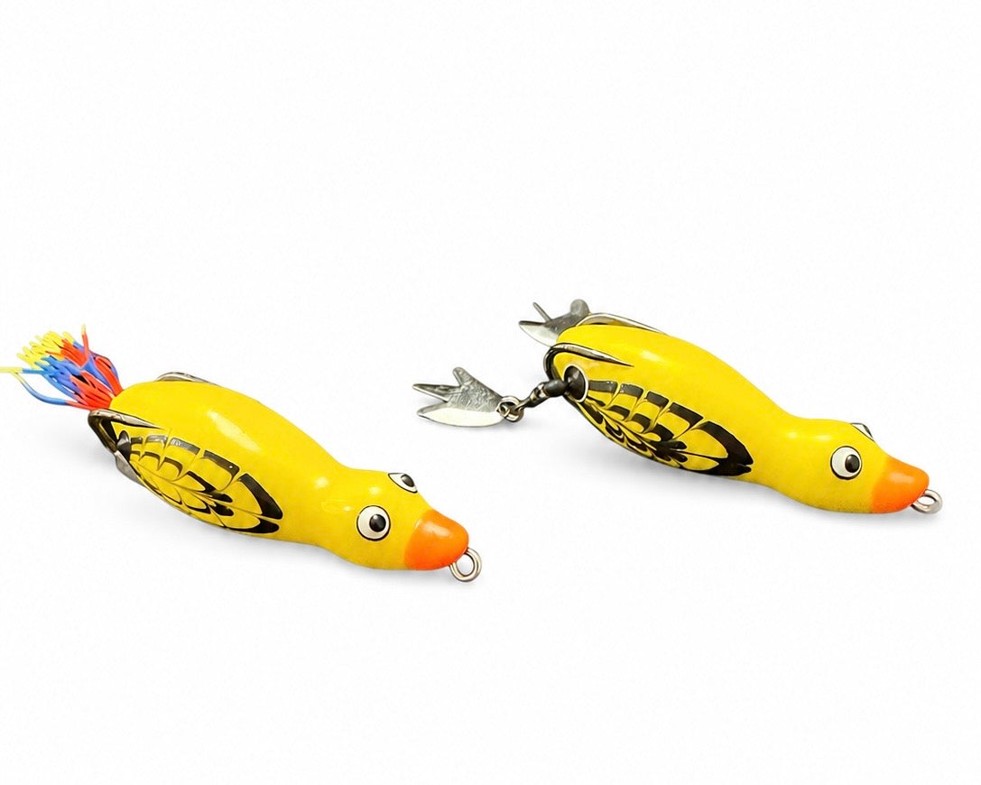 HOCB Ducks