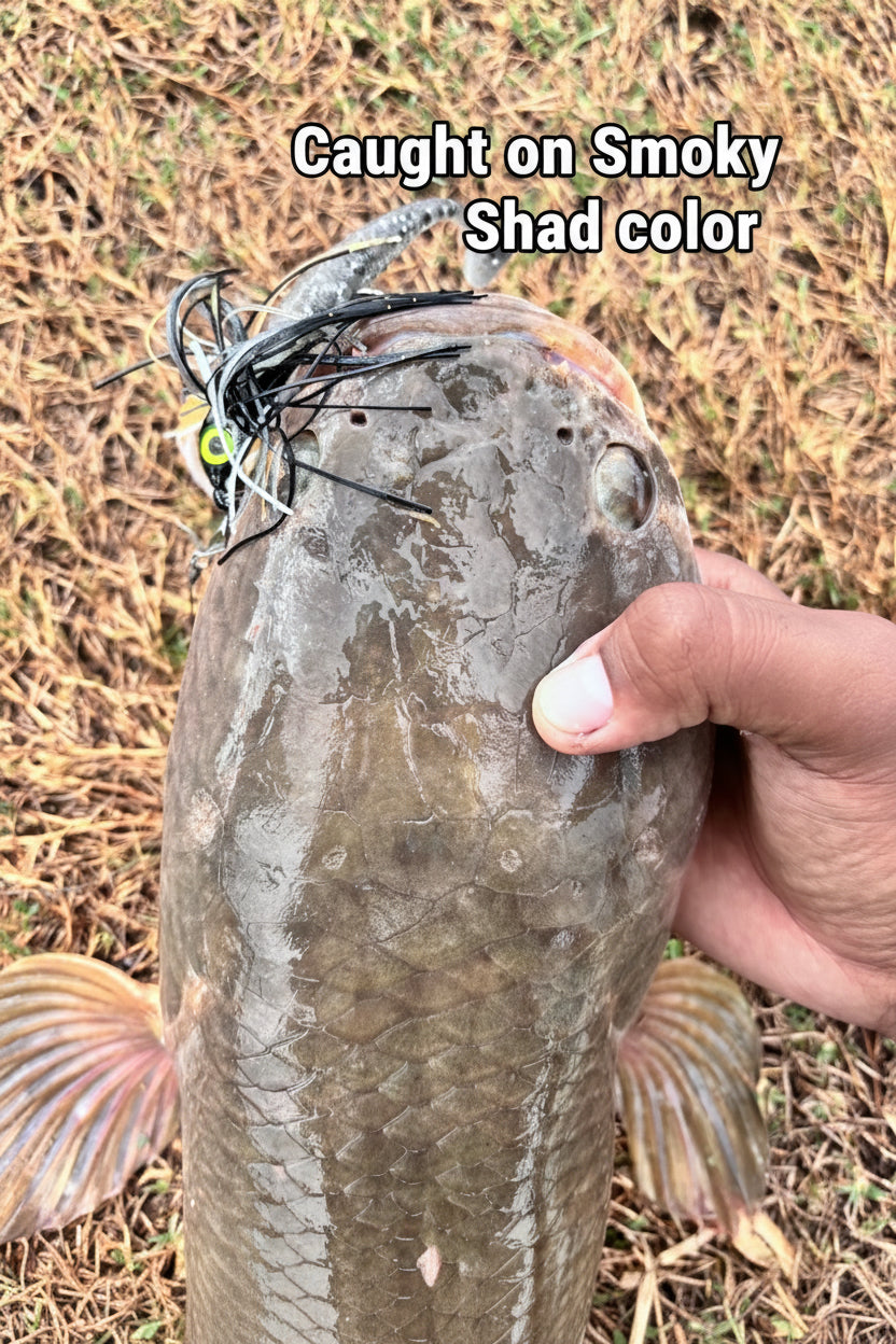 HOCB Chatter