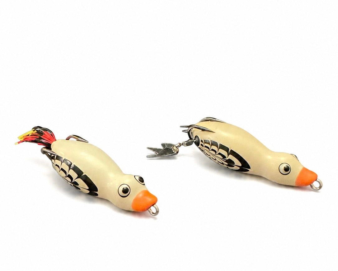 HOCB Ducks