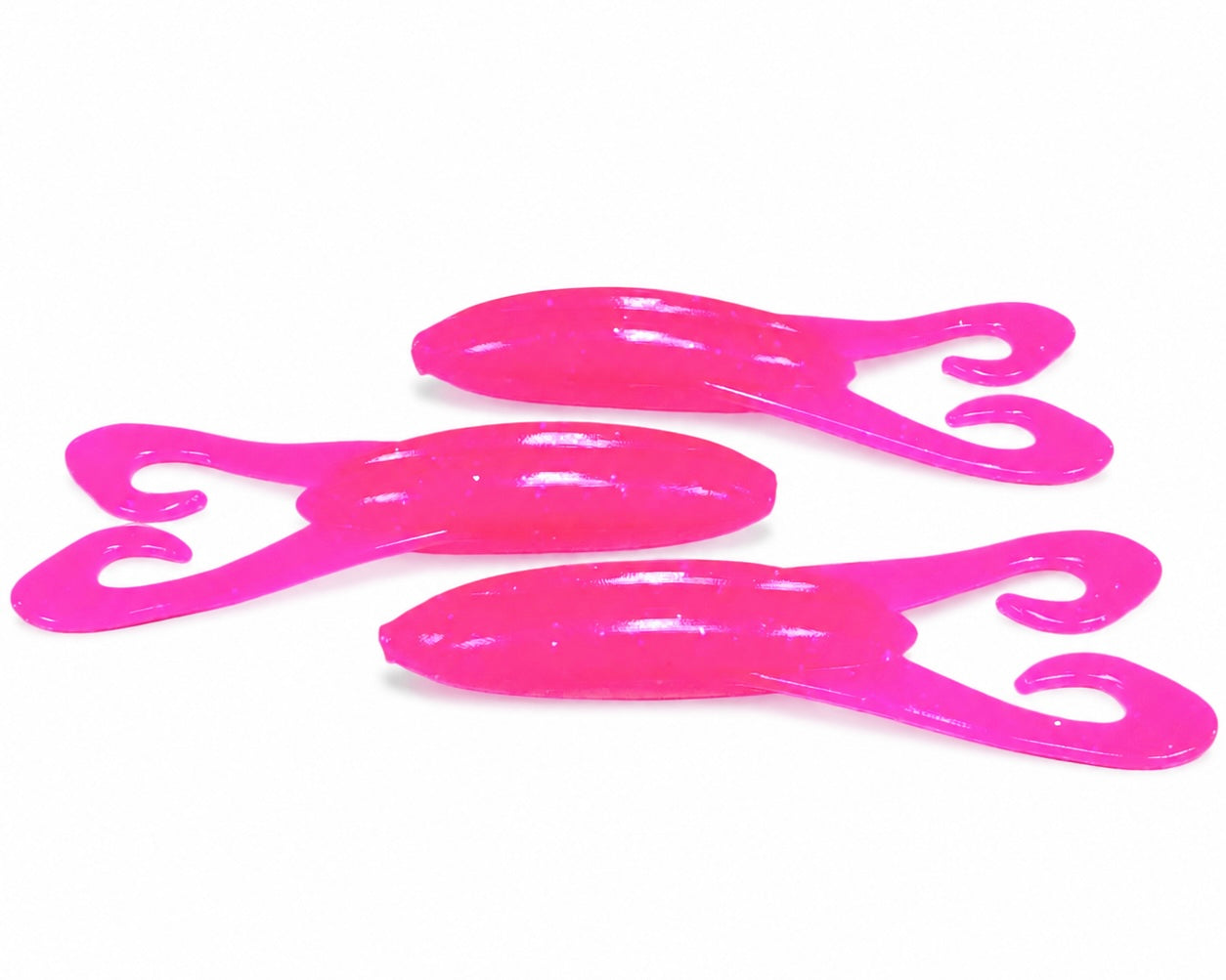 Curly Tail Frogs