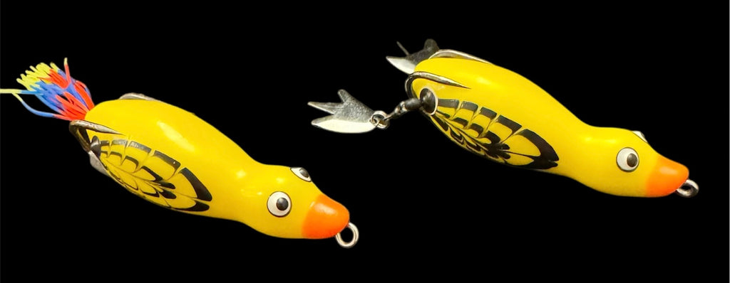 HOCB Ducks