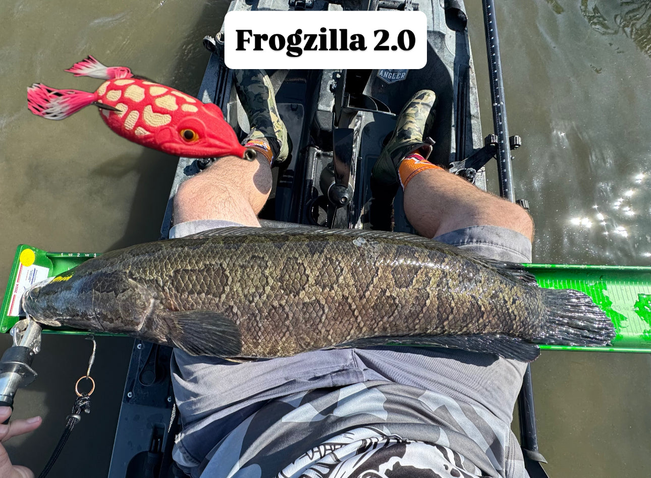 Frogzilla 2.0