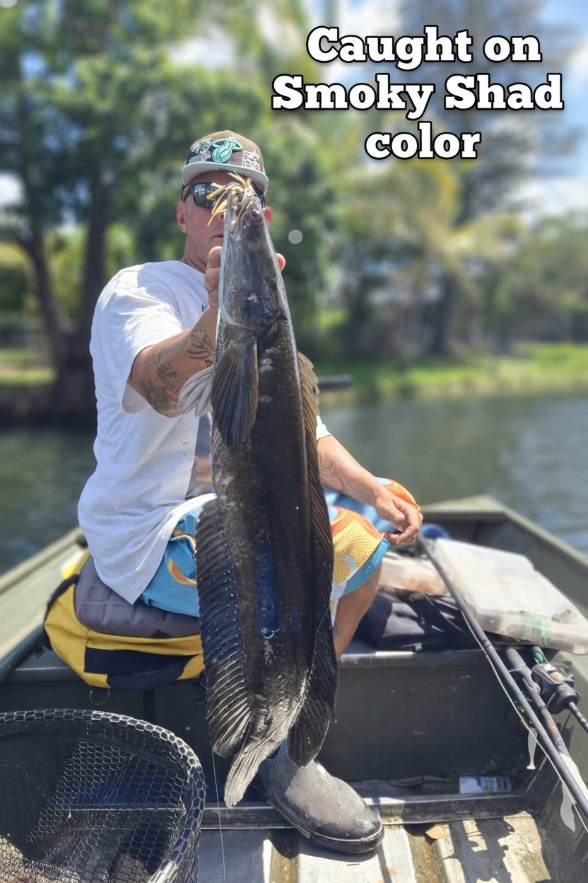 HOCB Chatter