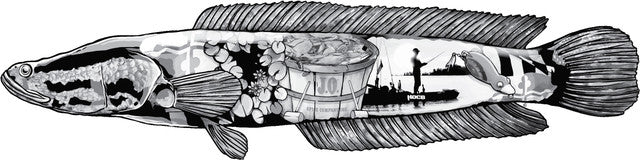 MD Snakehead (Black & White)