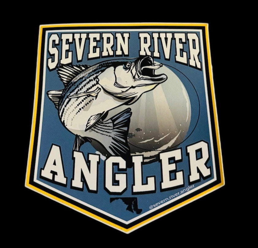 Severn River Angler Rockfish