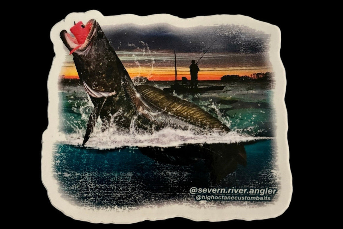 Snakehead Fishing, Forever Hooked