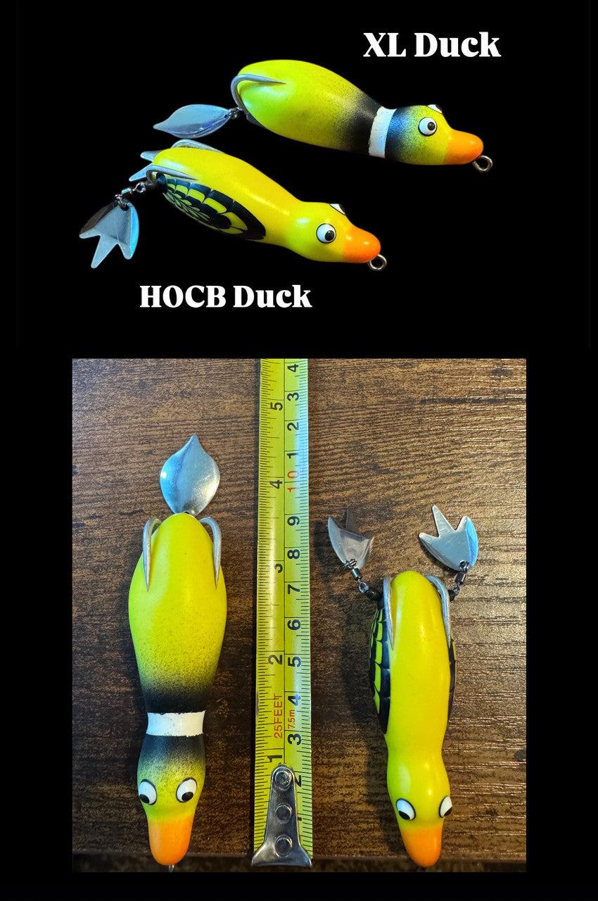 XL Ducks